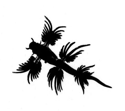 Image of B