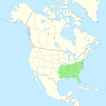 <span class="translation_missing" title="translation missing: en.medium.untitled.map_image_of, page_name: common persimmon">Map Image Of</span>