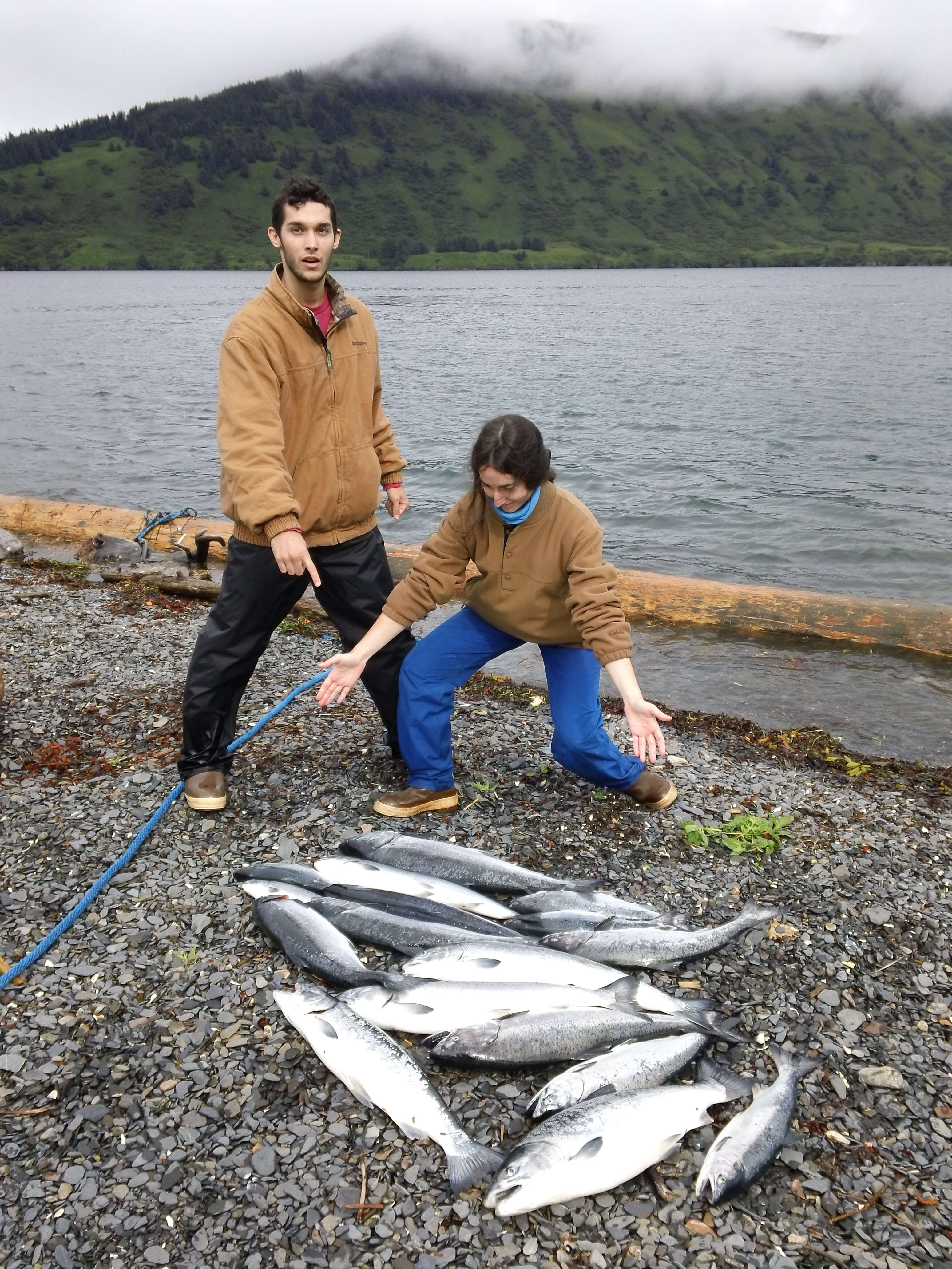 Image of Coho Salmon