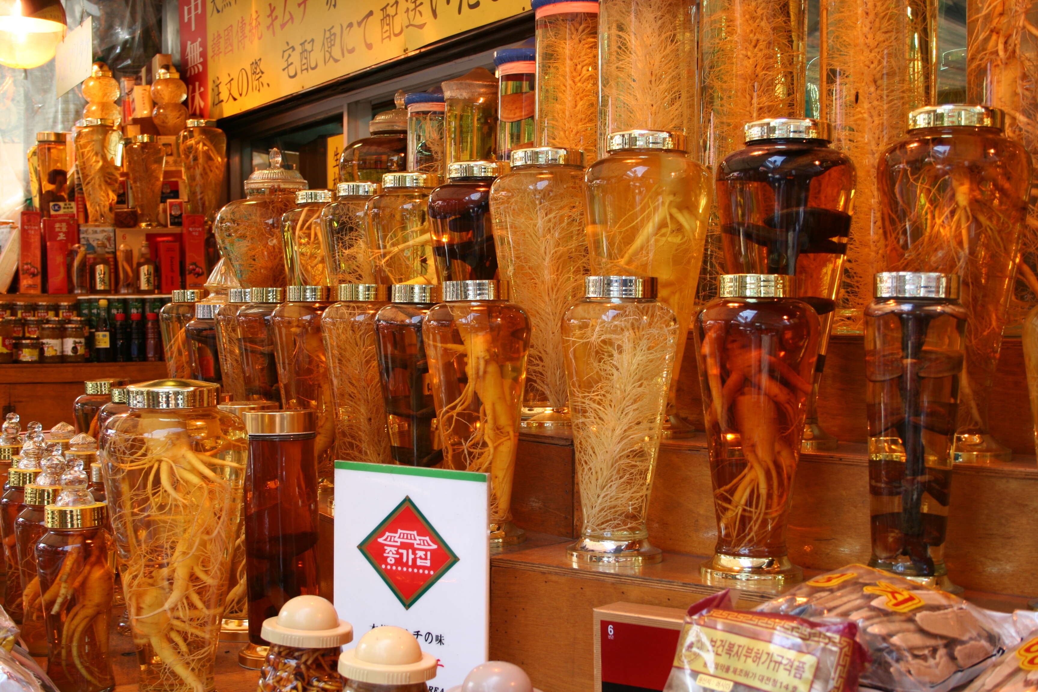 Image of Chinese ginseng