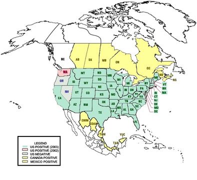 Image of West Nile virus