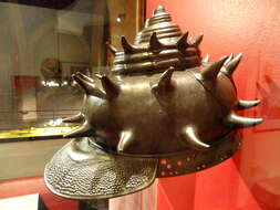 Image of Horned turban