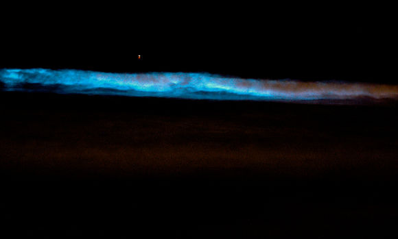 Image of <i>Lingulodinium polyedrum</i>