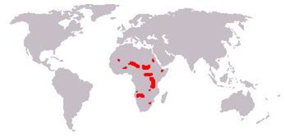<span class="translation_missing" title="translation missing: en.medium.untitled.map_image_of, page_name: Giraffe">Map Image Of</span>