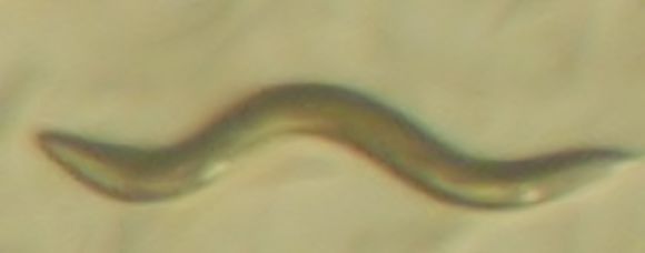 509.1676254.580x360