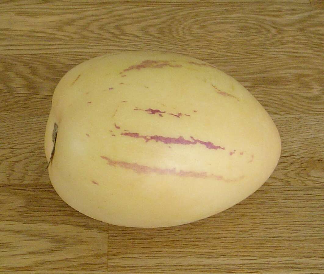 Image of pepino