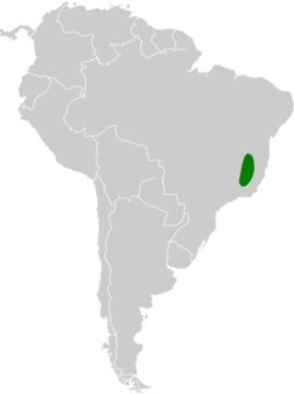 <span class="translation_missing" title="translation missing: en.medium.untitled.map_image_of, page_name: Hyacinth Visorbearer">Map Image Of</span>
