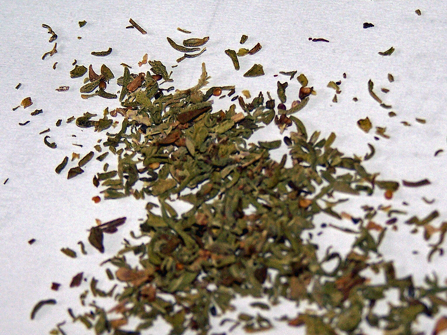 Image of summer savory