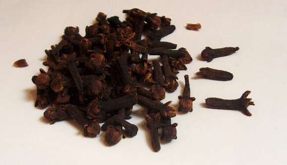 Image of clove