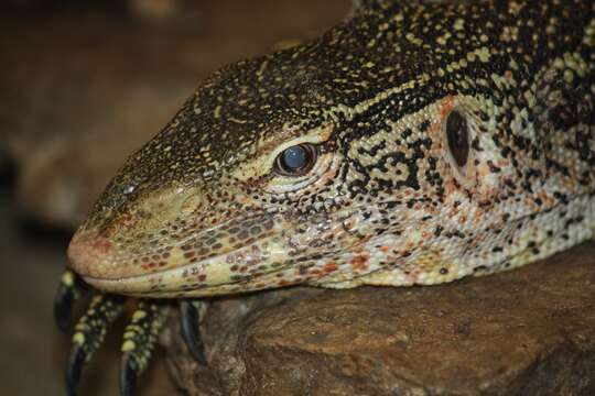 Image of Ornate monitor