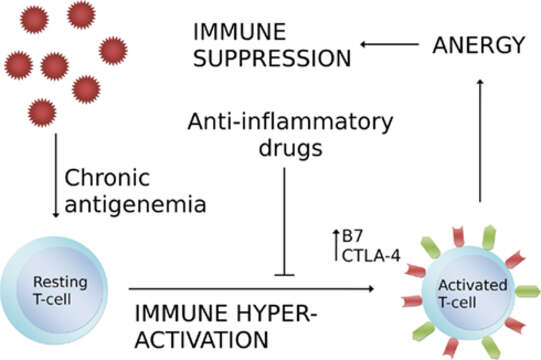 Слика од Feline immunodeficiency virus