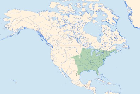 <span class="translation_missing" title="translation missing: en.medium.untitled.map_image_of, page_name: Orange Bluet">Map Image Of</span>