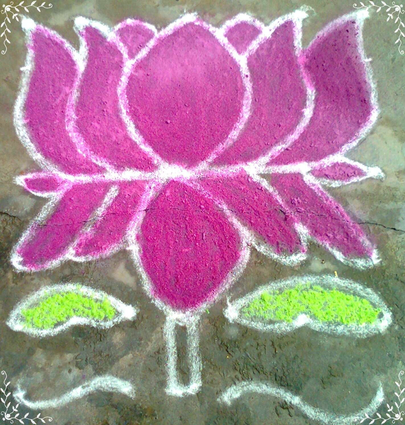 Image of sacred lotus