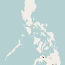 Sivun Mindanaonvuorirotta kuva