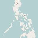 Image of Luzon Batomys