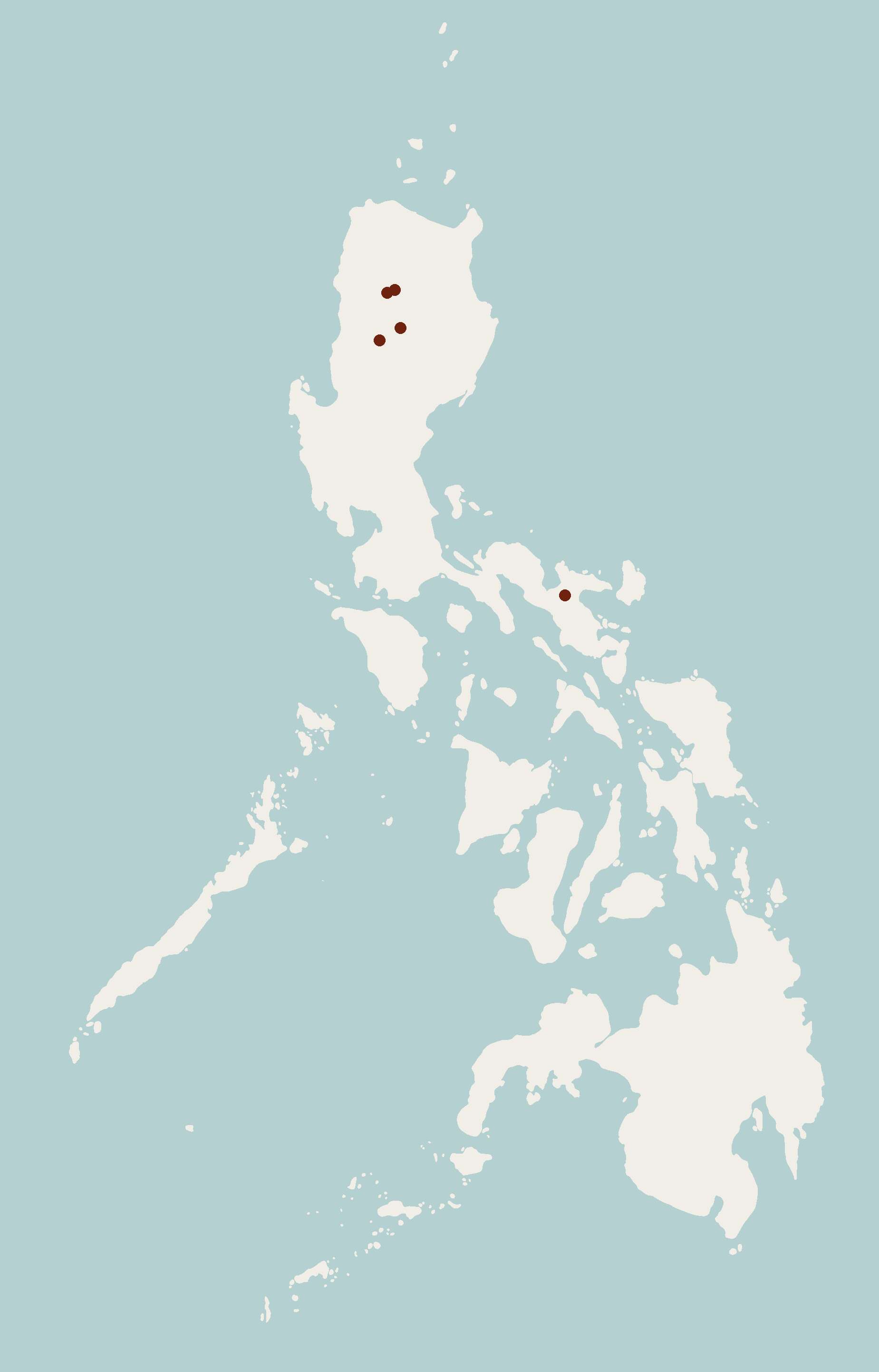 Image of Luzon Batomys