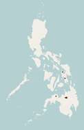 Image of Mindanao Batomys