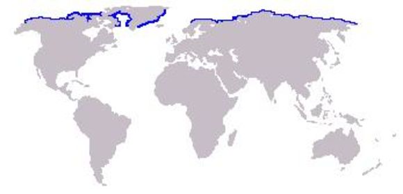 <span class="translation_missing" title="translation missing: en.medium.untitled.map_image_of, page_name: Walrus">Map Image Of</span>