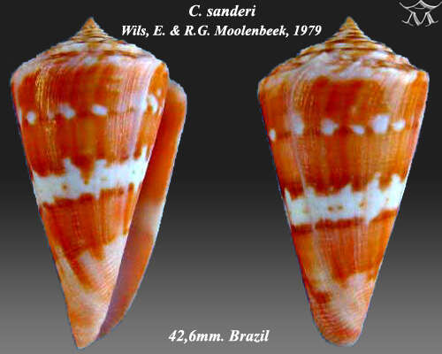 Image of Villepin's Cone
