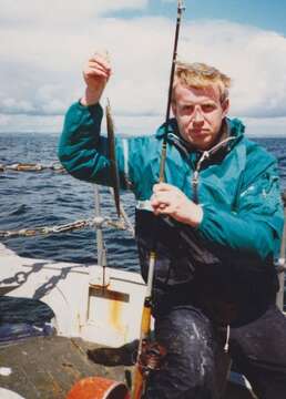 Image of Lesser Sand-eel