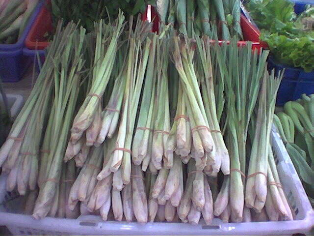 Image of lemon grass