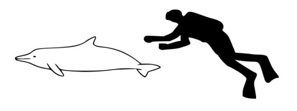 509.1900564.580x360