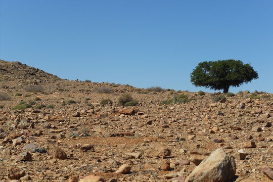 509.19324684.580x360