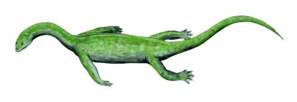 Image of Keichosaurus