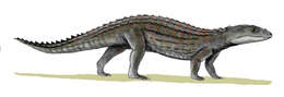 Image of Comahuesuchus