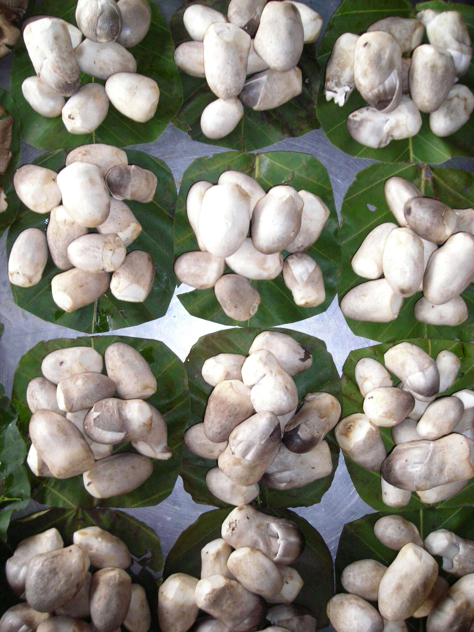 Image of straw mushroom