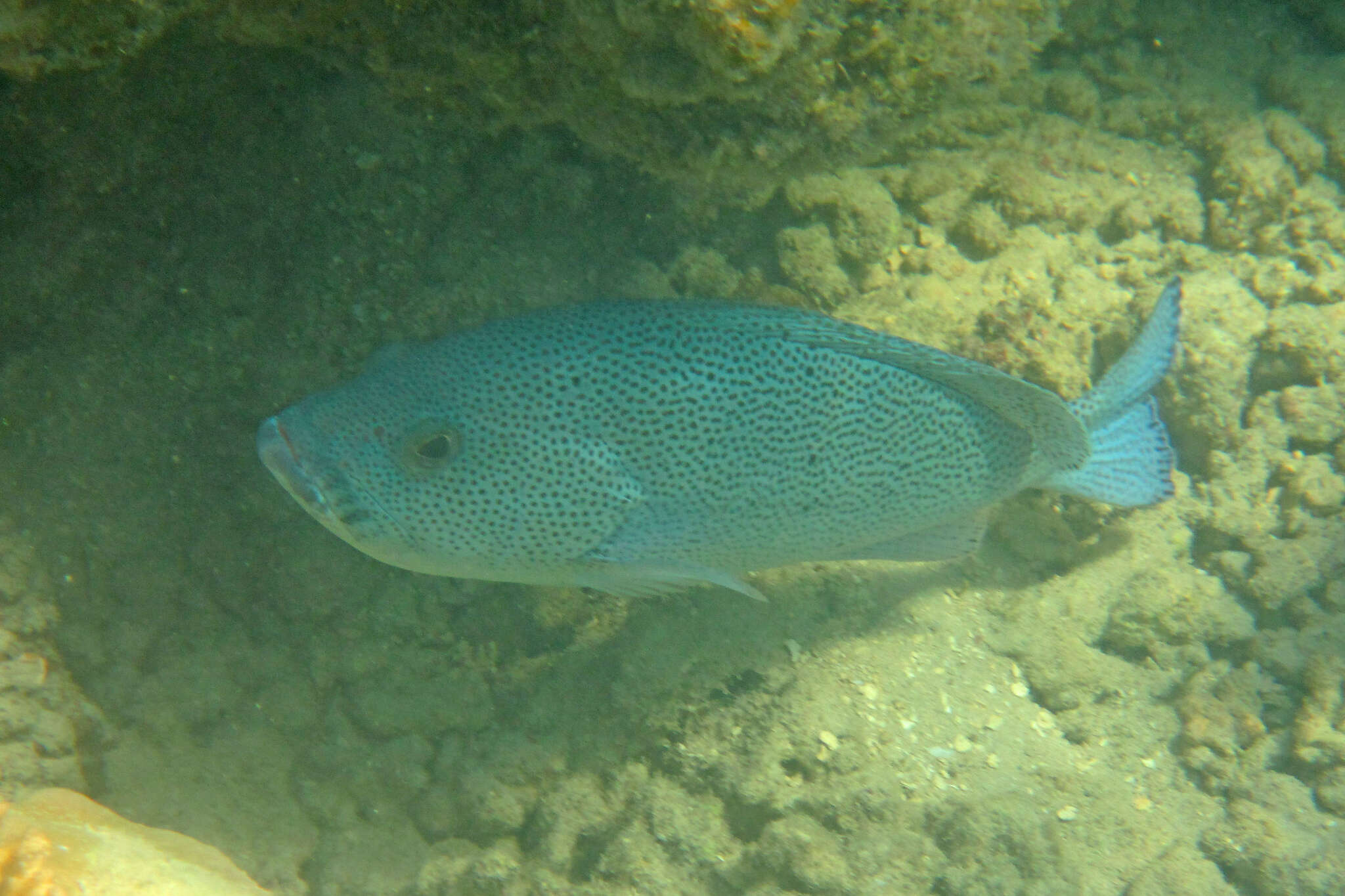 Image de Loche Bleue