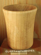 Image of quassia wood