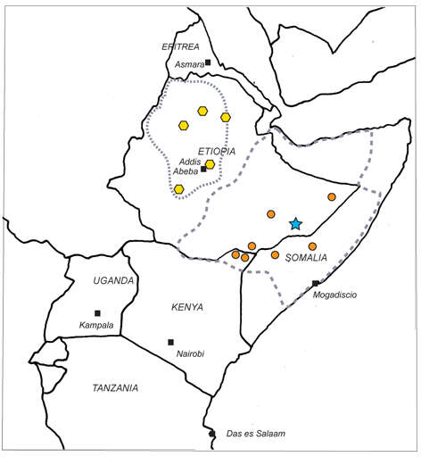 Image of Boswellia pirottae Chiov.