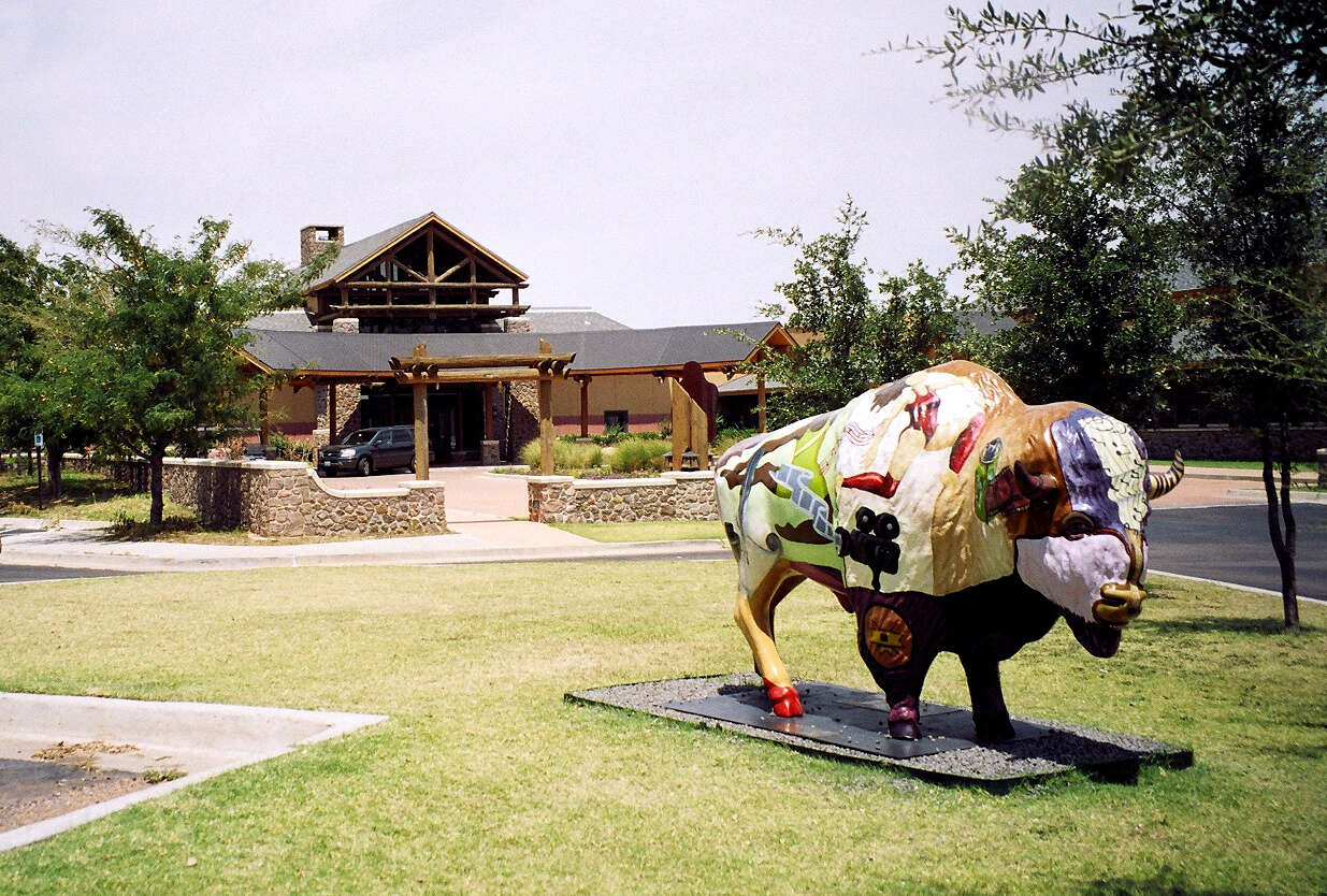 Image of American Bison