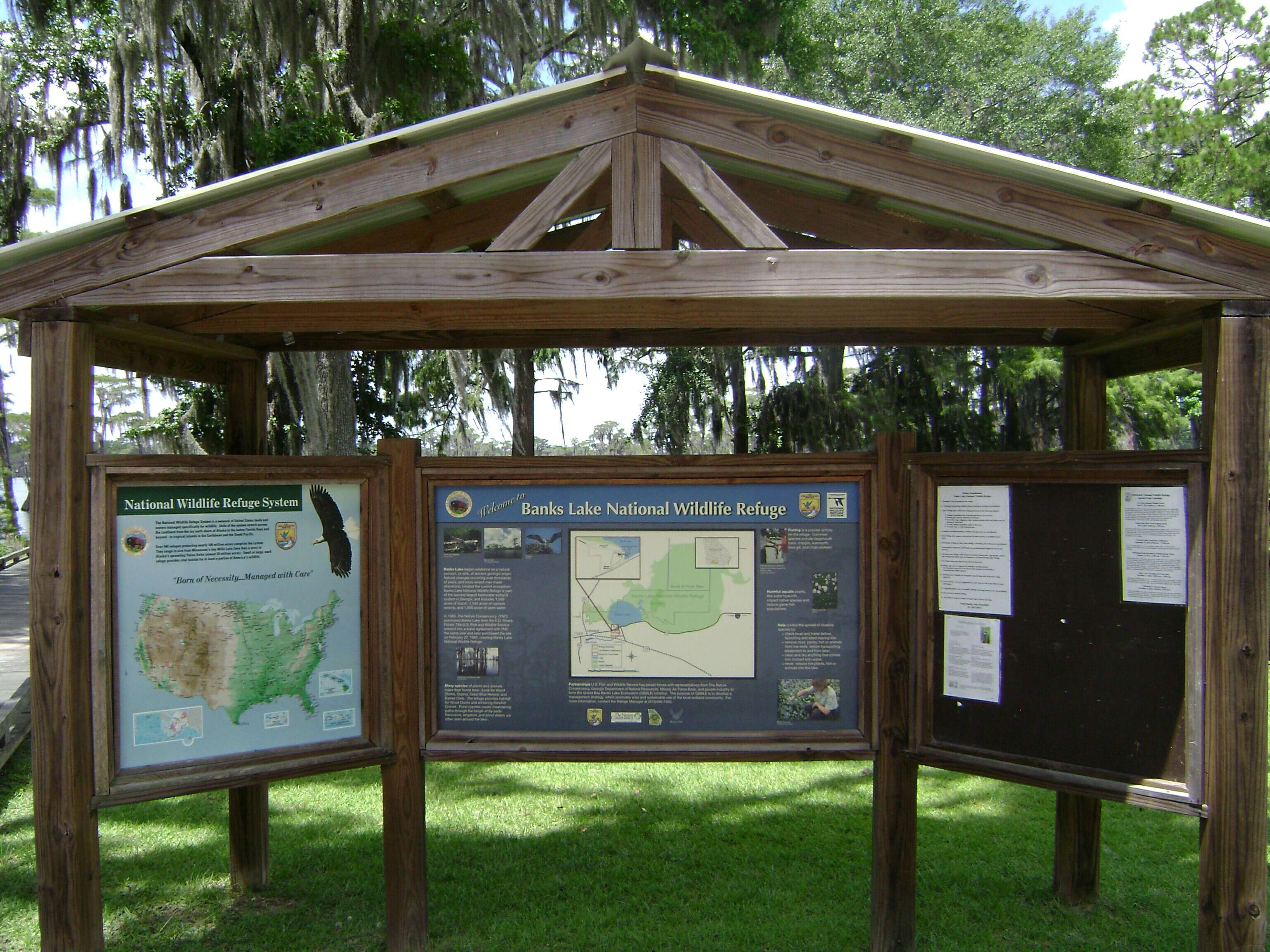 Image of Spanish moss