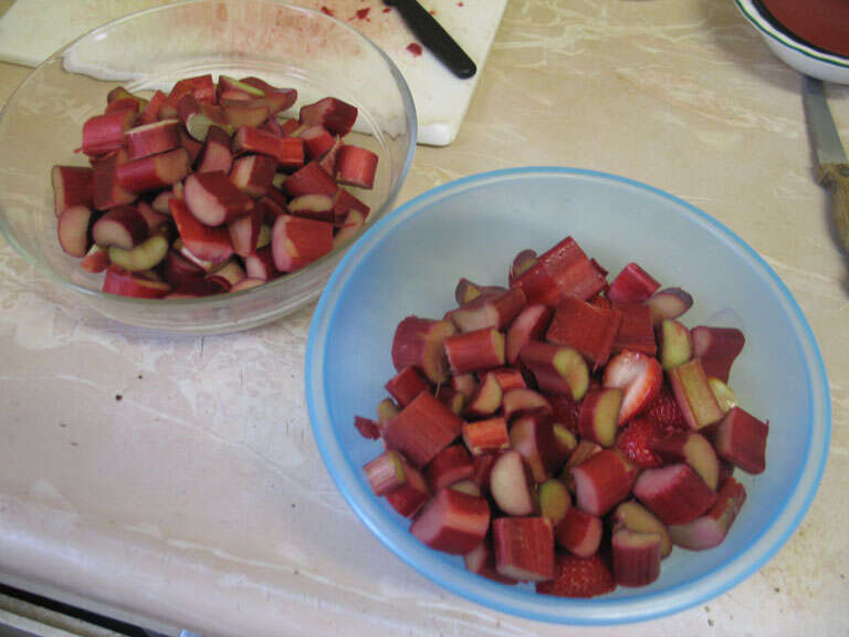 Image of garden rhubarb