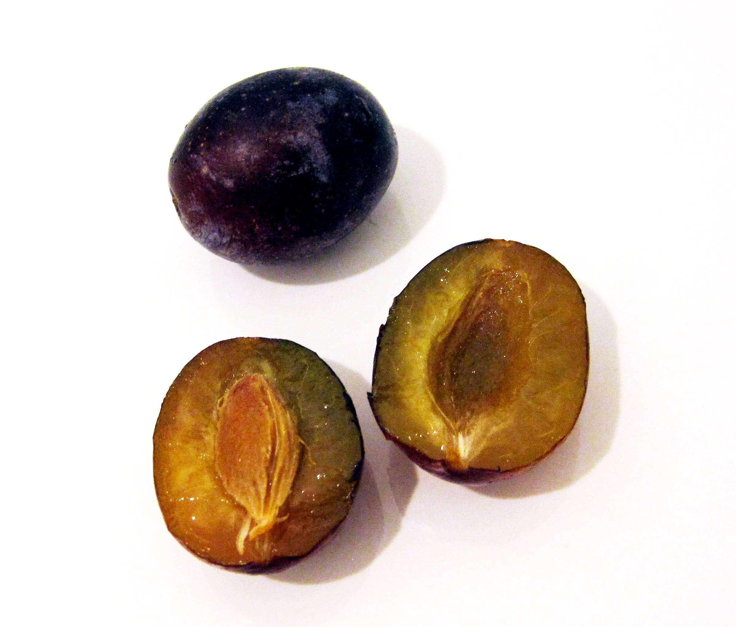 Image of European plum