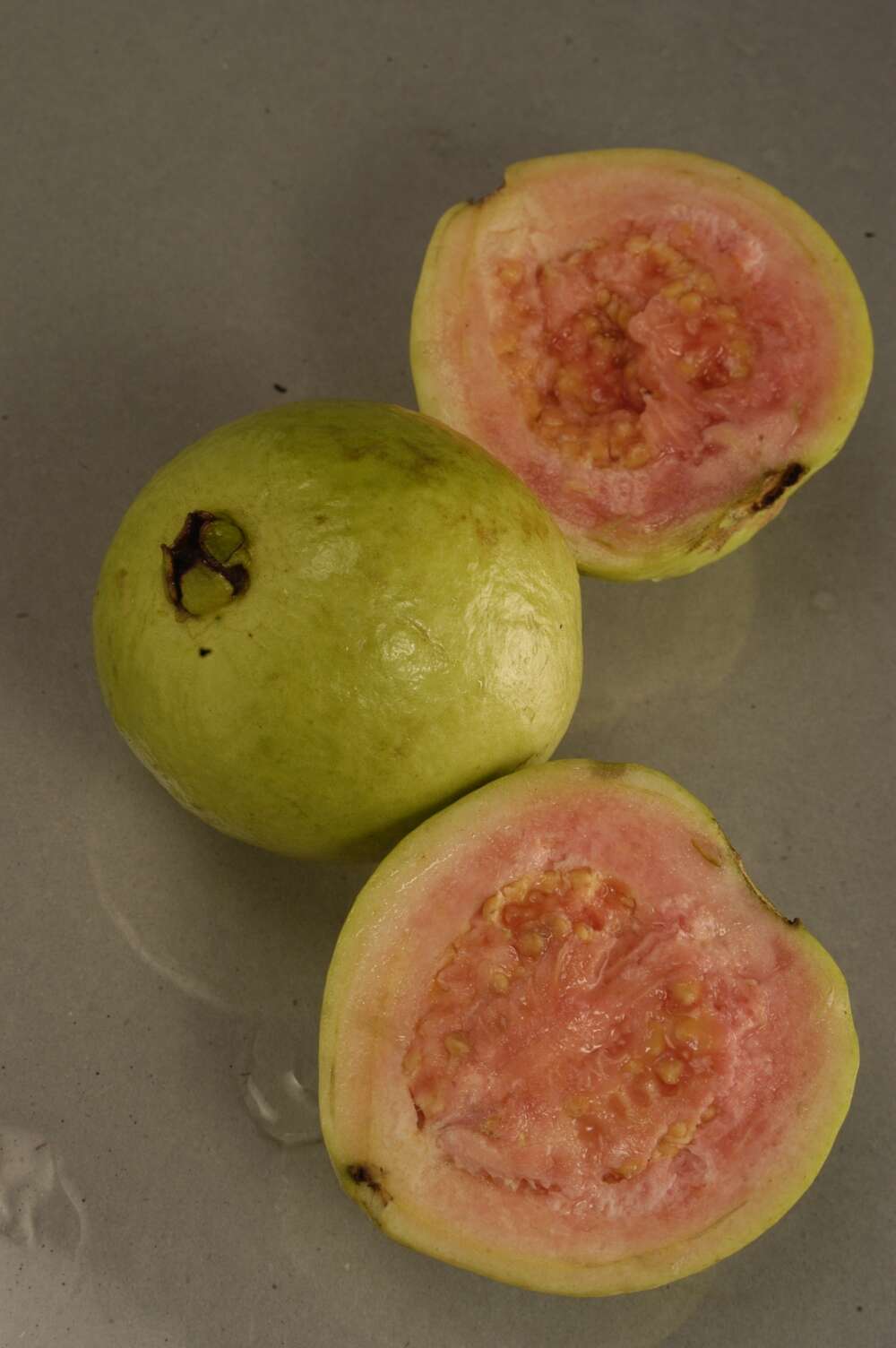 Image of guava