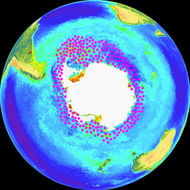 <span class="translation_missing" title="translation missing: en.medium.untitled.map_image_of, page_name: Antarctic Krill">Map Image Of</span>