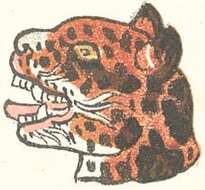 Image of Jaguar