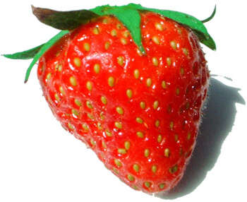 Image of Garden strawberry