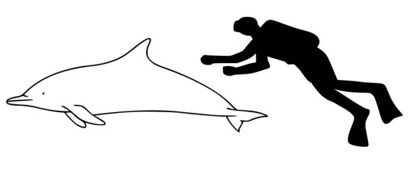 509.2159298.580x360