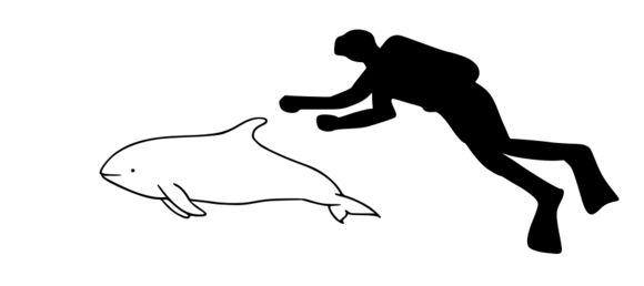 509.2159302.580x360