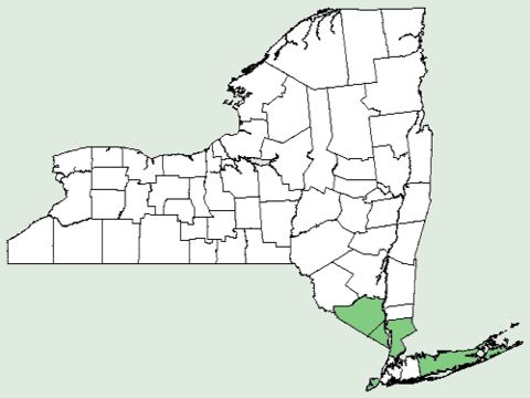 <span class="translation_missing" title="translation missing: en.medium.untitled.map_image_of, page_name: common dittany">Map Image Of</span>