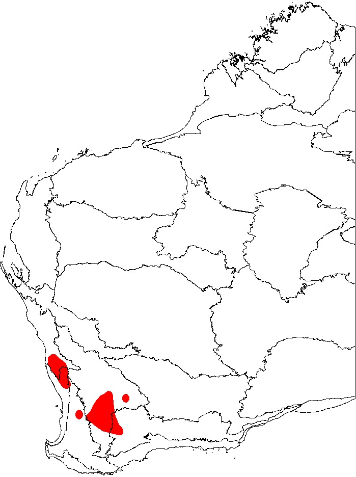 <span class="translation_missing" title="translation missing: en.medium.untitled.map_image_of, page_name: &lt;i&gt;Banksia vestita&lt;/i&gt;">Map Image Of</span>