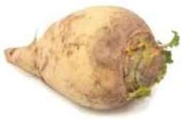 Image of rutabaga