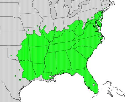 <span class="translation_missing" title="translation missing: en.medium.untitled.map_image_of, page_name: common persimmon">Map Image Of</span>
