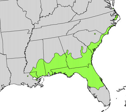 <span class="translation_missing" title="translation missing: en.medium.untitled.map_image_of, page_name: devilwood">Map Image Of</span>