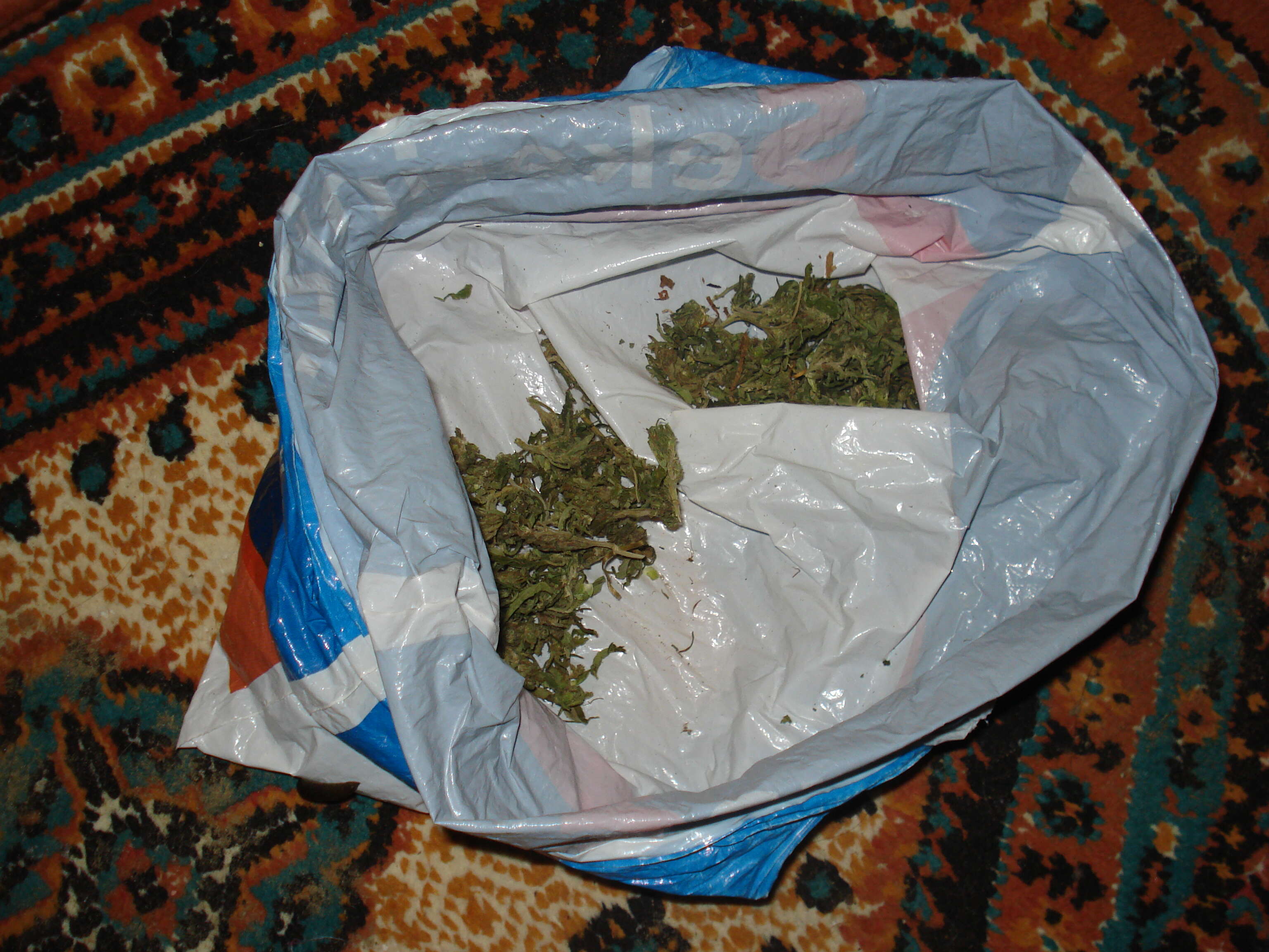 Image of marijuana