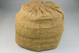 Image of raffia palm